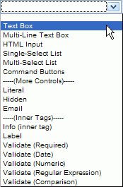 Form controls list box, text box selected